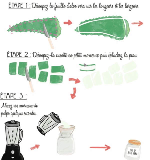 Les 3 étapes de fabrication du gel : découpe des feuilles, épluchage et mixage